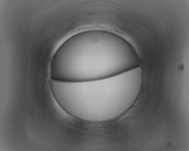 X0000092071524200710101008