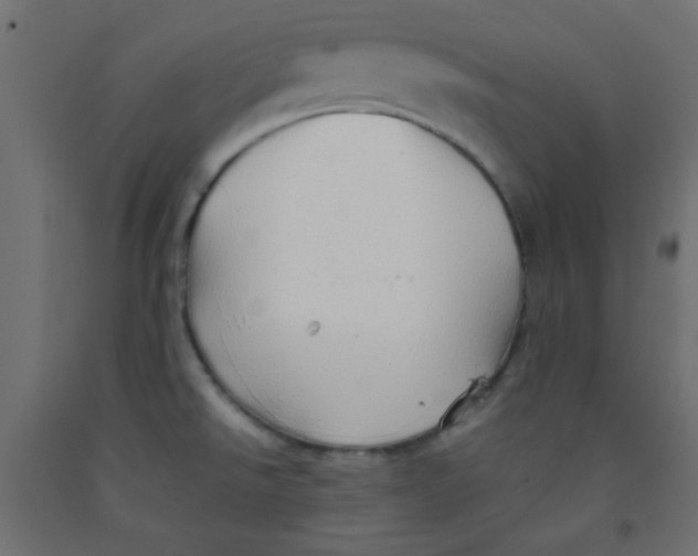 X0000092071526200710101008