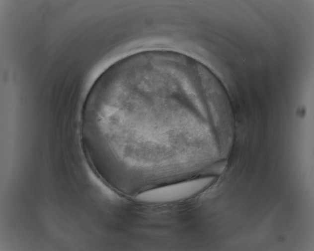 X0000092071527200710101008