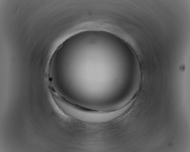 X0000092071528200710101008