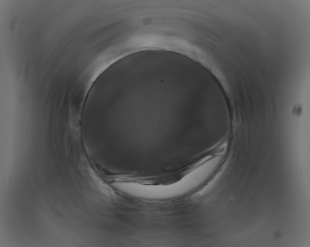 X0000092071529200710101008