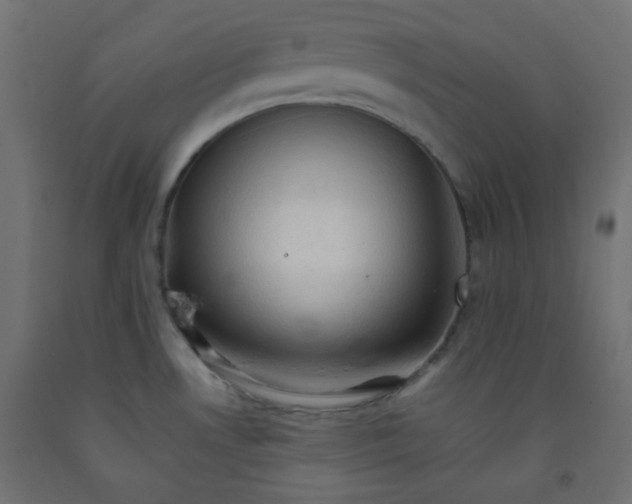 X0000092071530200710101008