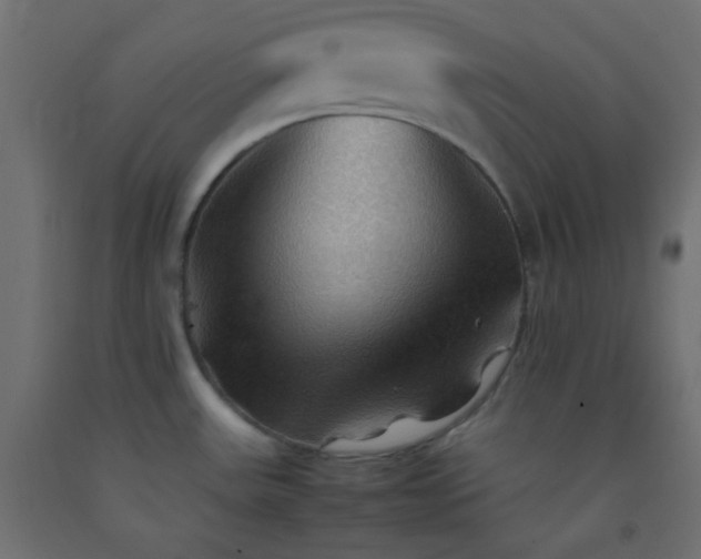X0000092071531200710101008