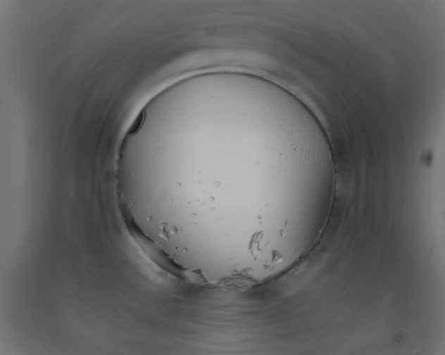 X0000092071532200710101008