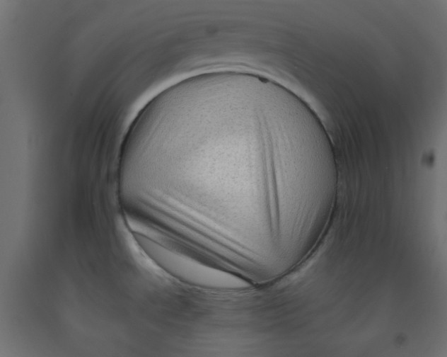 X0000092071534200710101008