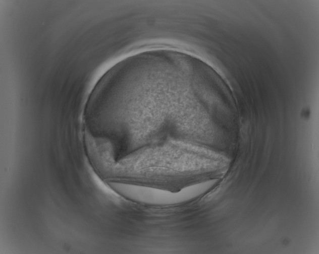 X0000092071535200710101008
