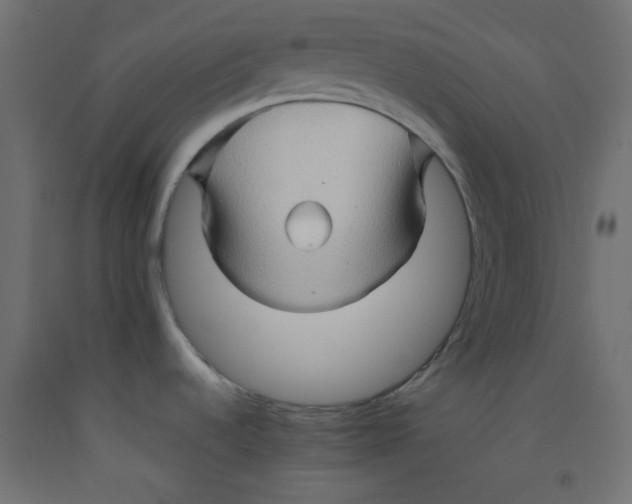 X0000092071536200710101008