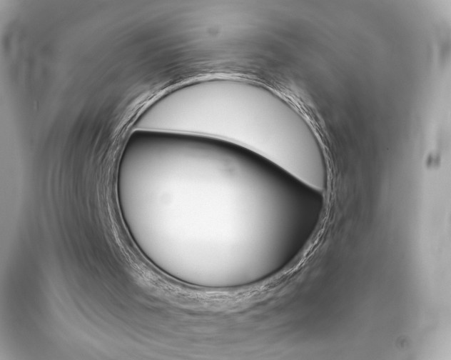 X0000092080001200709121115