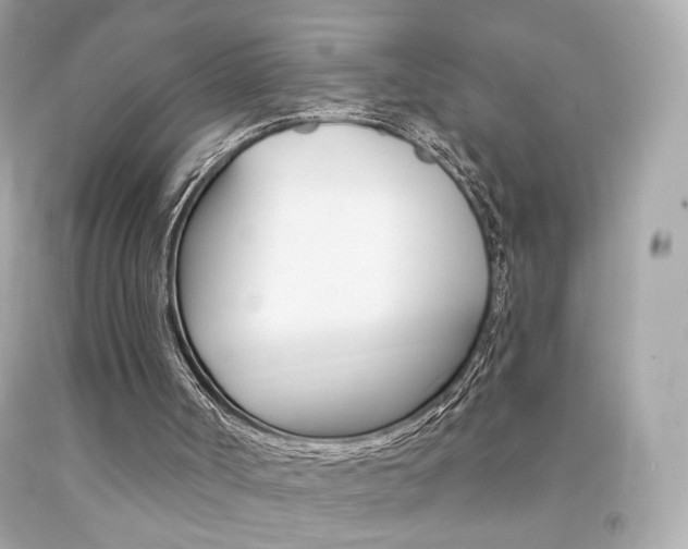 X0000092080002200709121115