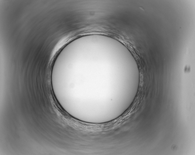 X0000092080004200709121115