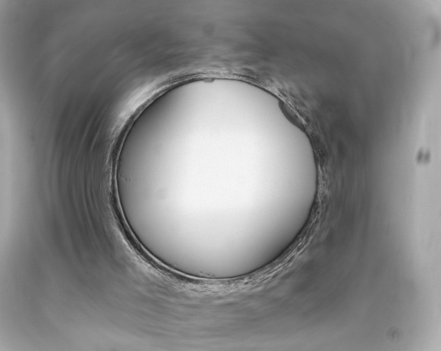 X0000092080005200709121115