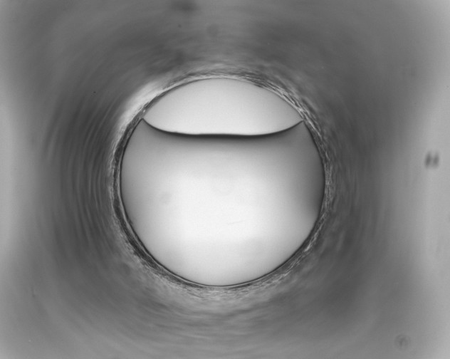 X0000092080006200709121115
