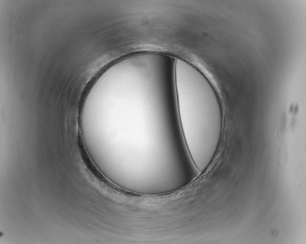 X0000092080011200709121115