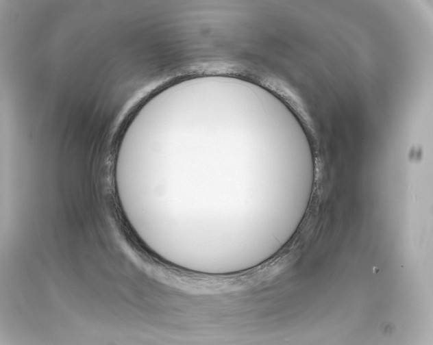 X0000092080012200709121115