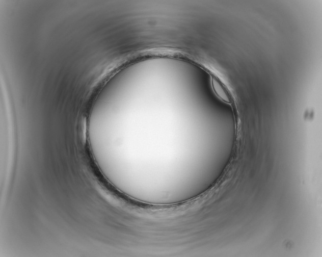 X0000092080013200709121115