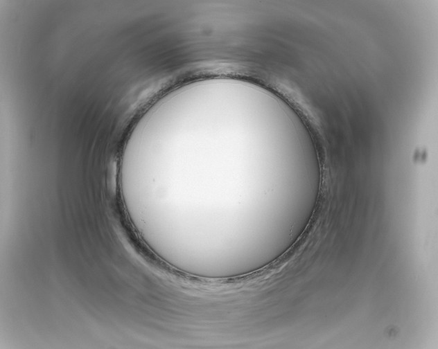X0000092080014200709121115