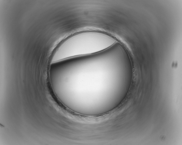 X0000092080015200709121115