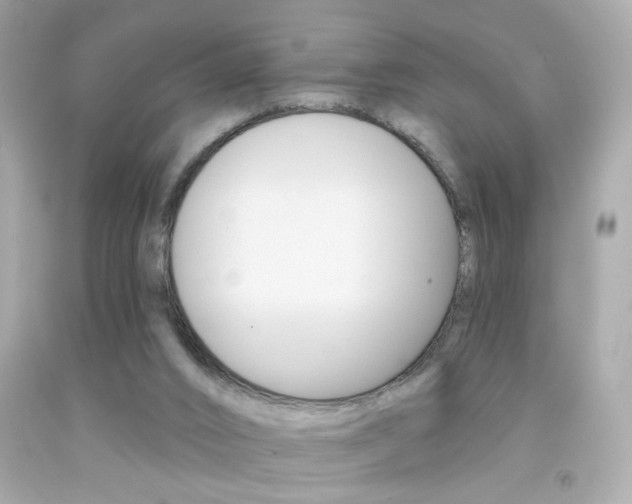 X0000092080016200709121115