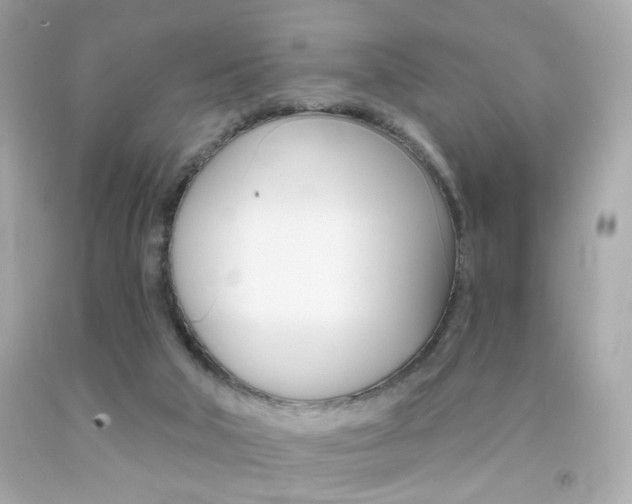 X0000092080018200709121115