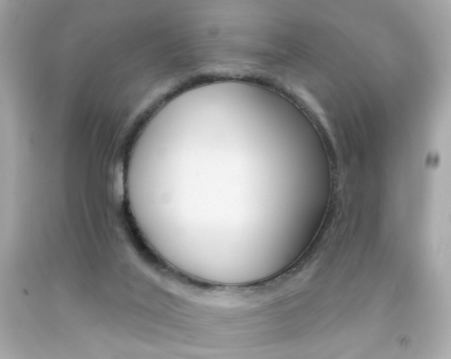 X0000092080020200709121115