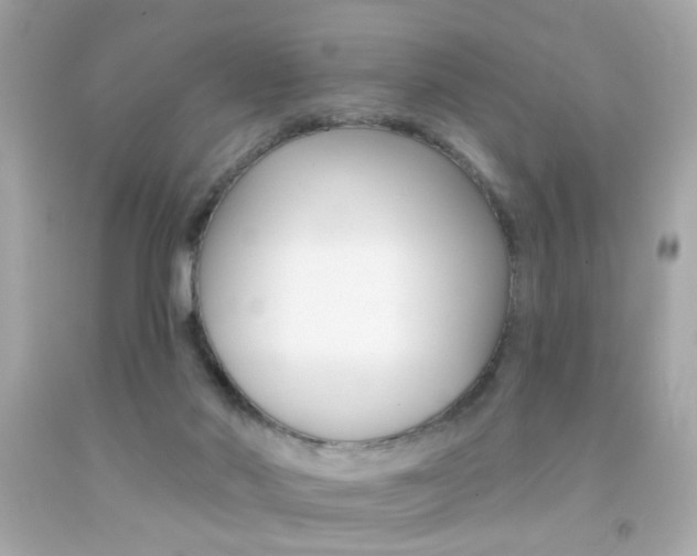 X0000092080022200709121115