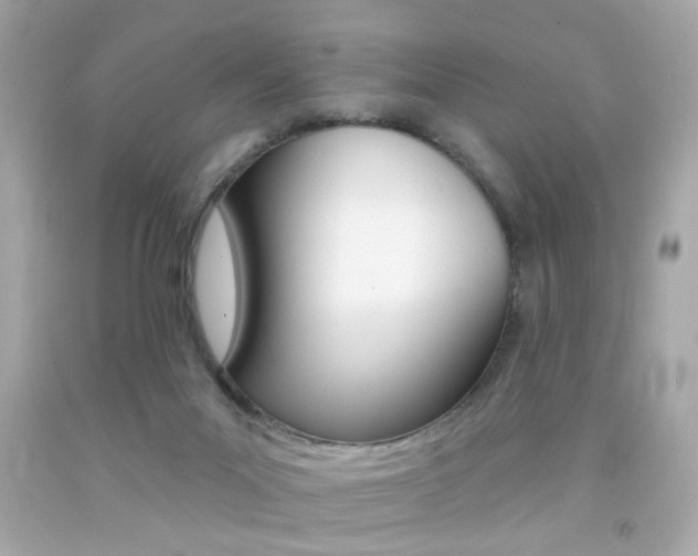 X0000092080023200709121115