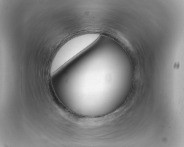 X0000092080025200709121114