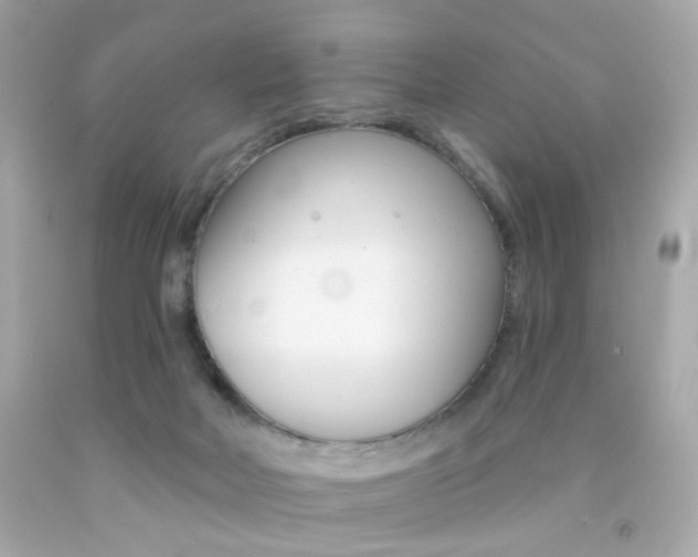 X0000092080026200709121114