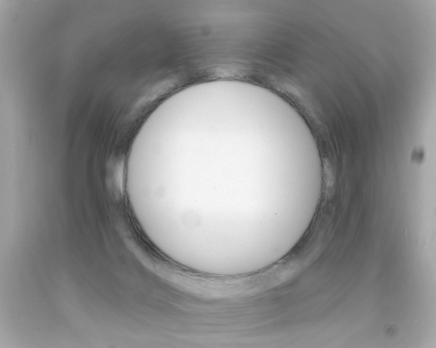 X0000092080028200709121114