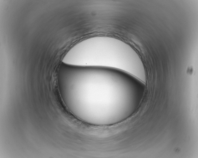 X0000092080029200709121114