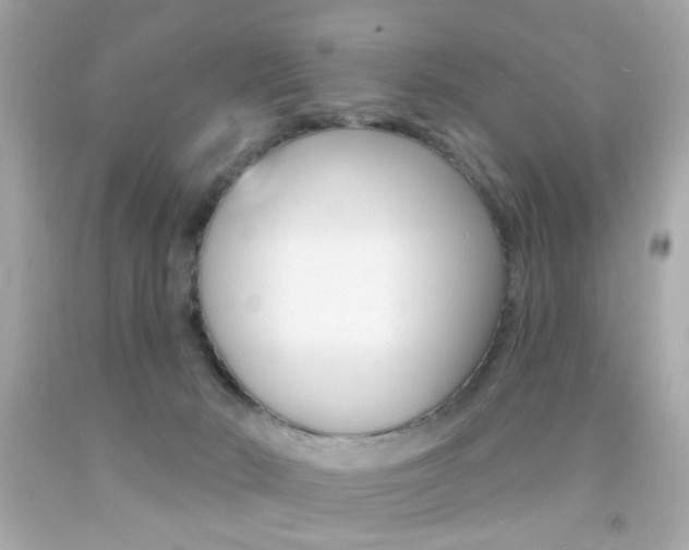 X0000092080030200709121114