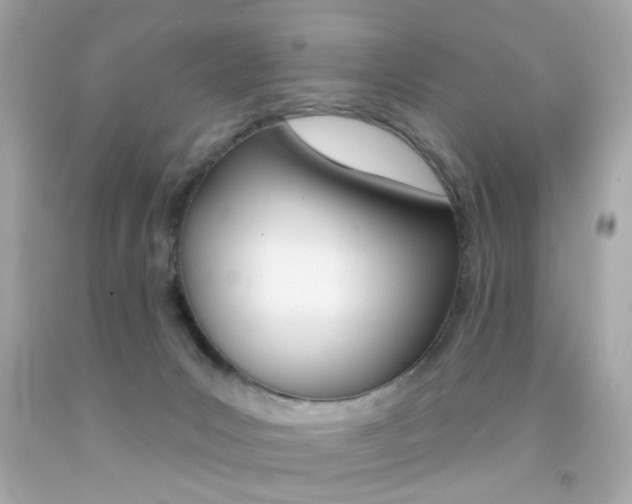 X0000092080031200709121114