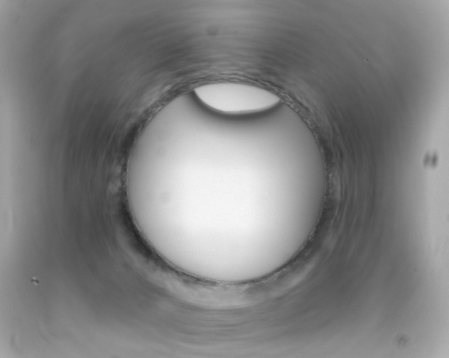 X0000092080032200709121114