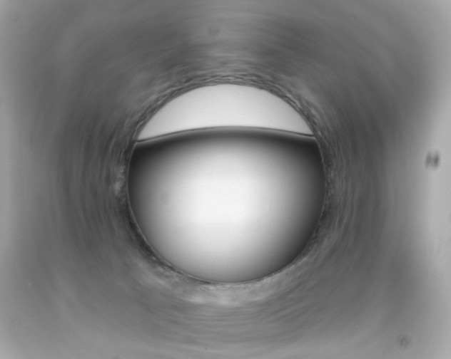 X0000092080033200709121114
