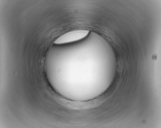 X0000092080034200709121114