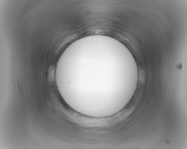 X0000092080036200709121114