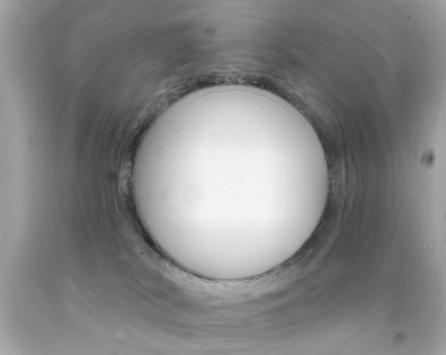 X0000092080038200709121114
