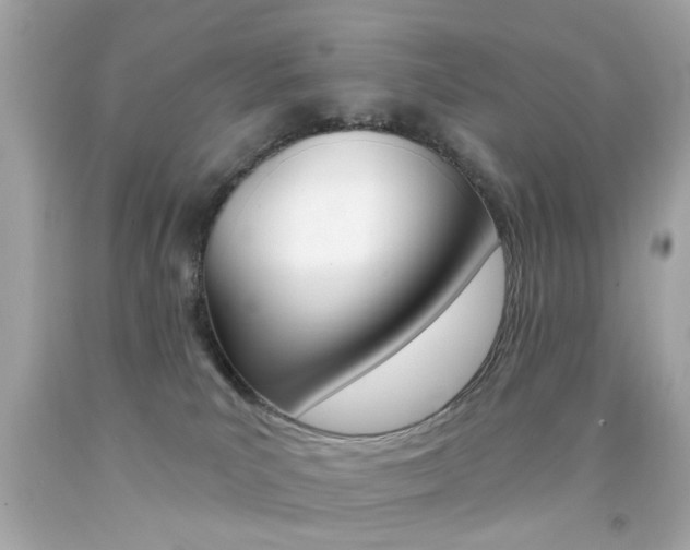 X0000092080039200709121114