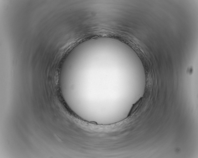 X0000092080043200709121114