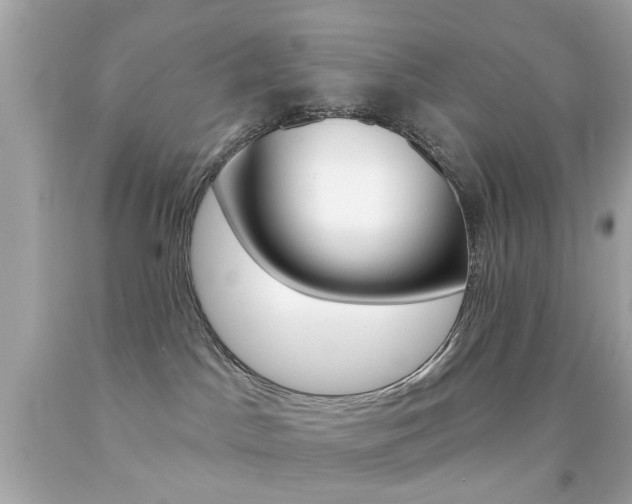 X0000092080045200709121114