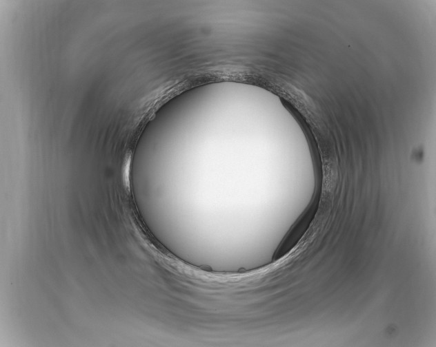 X0000092080047200709121114