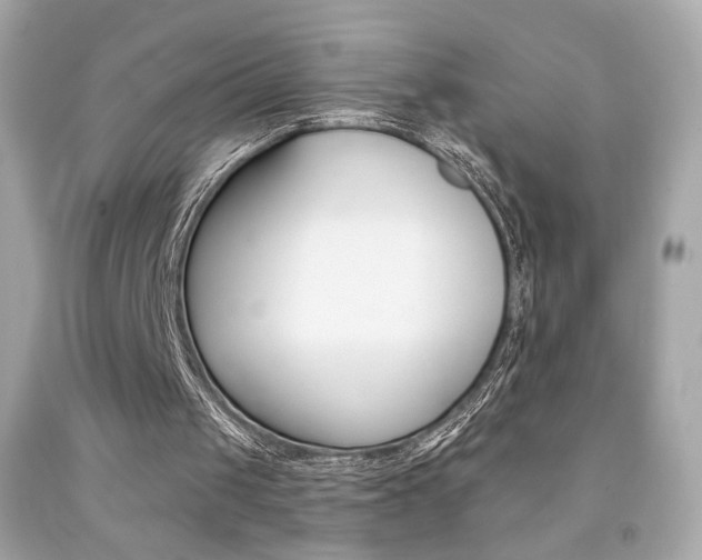 X0000092080049200709121114