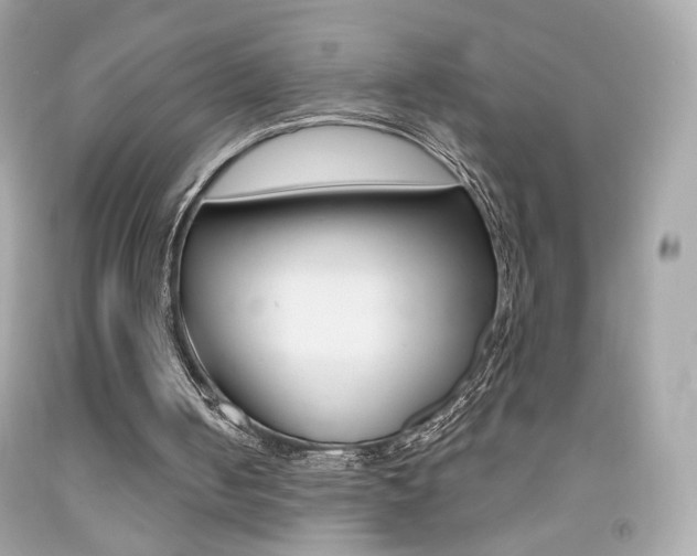 X0000092080050200709121114