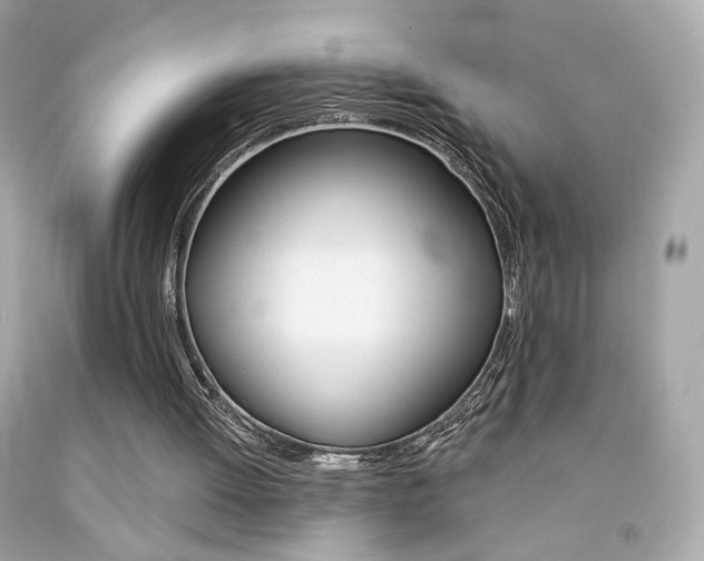 X0000092080052200709121114