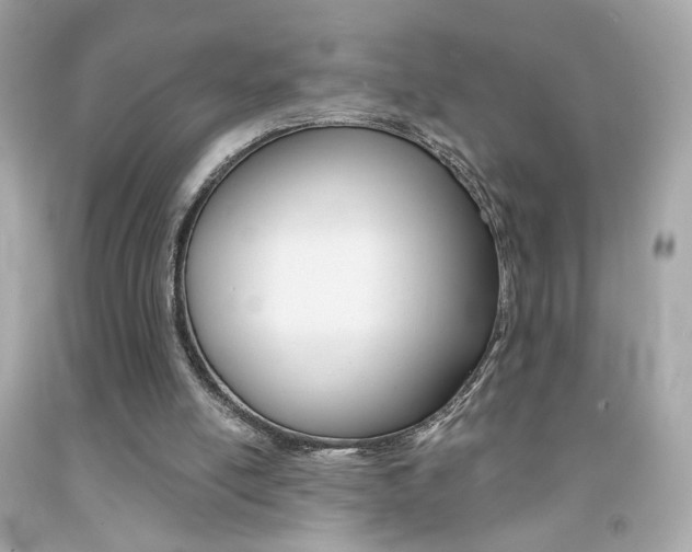 X0000092080054200709121114