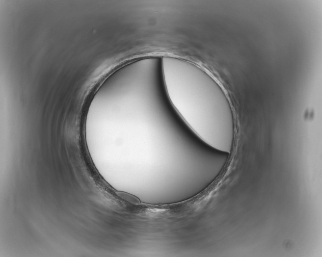 X0000092080055200709121114