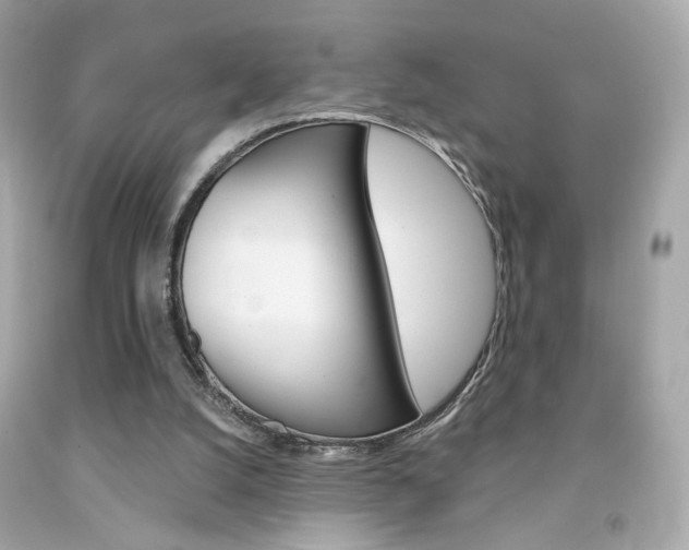 X0000092080056200709121114