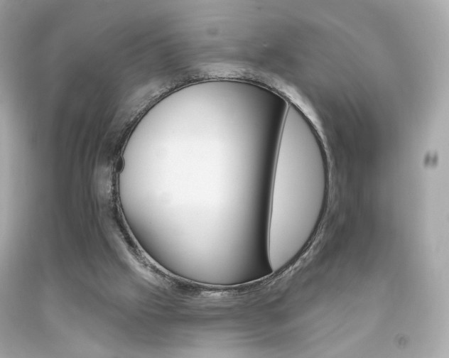 X0000092080057200709121114