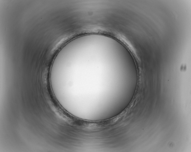 X0000092080058200709121114
