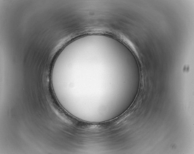 X0000092080059200709121114